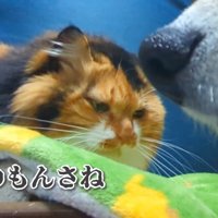 完全に拗ねてしまいました