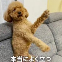 不思議な動きに！！