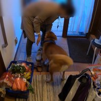 家族が出かける日のワンジローくん7