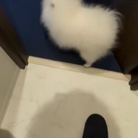 逃げちゃった！？