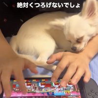 みるくんの顔も上下に揺れる