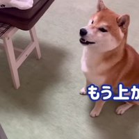 パパの声が聞こえると…