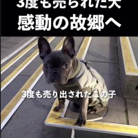 悲しげな表情