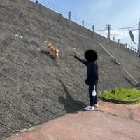 突然