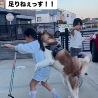 ユーターンまで披露