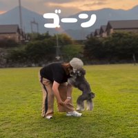 ぶつかる犬とママ