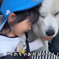 嬉しそうな子供と大型犬