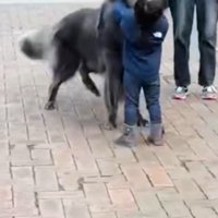 お互いに嬉しそう♪