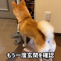 「帰ってくるかな？」と玄関へ