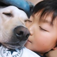 男の子の胸に顔を乗せて眠る犬