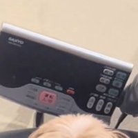 犬の頭