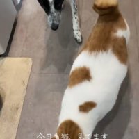 「どこ行くの？」