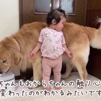 おからちゃんに近寄るほのちゃん