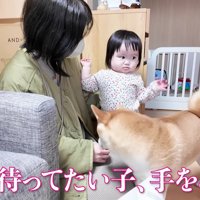 元気よくお見送り♪