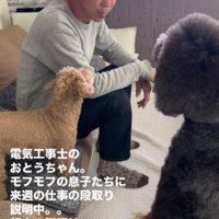 「そんな段取りでいこか」