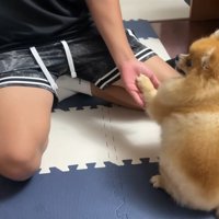 甥っ子くんとの微笑ましい交流