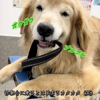 止まらない震え…