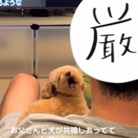 また遠吠えをするお父さん