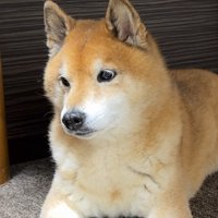 絶望の表情に