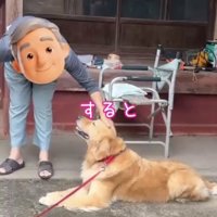 犬を撫でるおじいちゃん