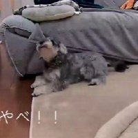 ママに呼ばれたら…