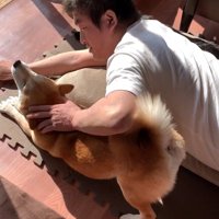 ももちゃんも混ざりに来ました♪