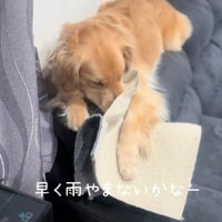 豪快なぱんちゃんにクスッ