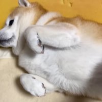 布団の上で寝ていたら…