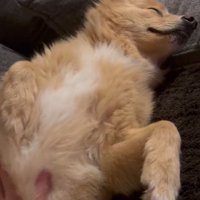 大きな赤ちゃんのよう♡