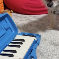 ついに…くる…！