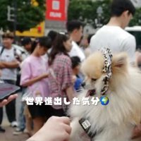 すっかり成長したよ