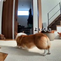 ぐいーっと伸び