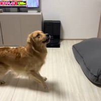 たくさん風船が出てきた時のさらちゃん4