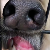 気品ゼロの寝顔に爆笑！？