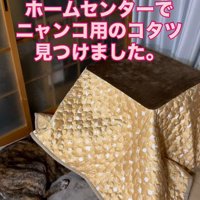 コタツを初体験♡