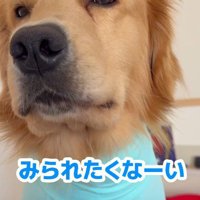 「オシャレな服がいい！」