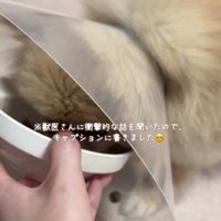 ご飯もモリモリ食べられるよ