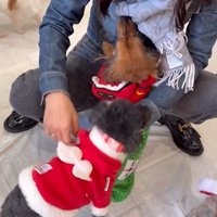 ラホちゃんとの出会いと現在5