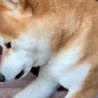 天くんの隣へ
