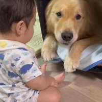 オレオくんと赤ちゃん4