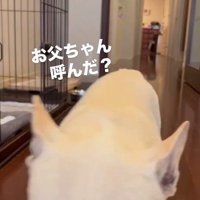 武蔵くんを呼んだ時の態度の差5