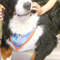 左頬が上がるハリーくん