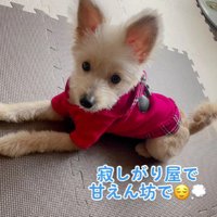 すっかり家族のアイドルに♡