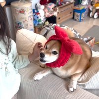 ママさんが女の子に怒られてしまいました！
