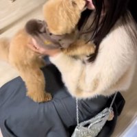 モコちゃんと飼い主さんの再会9