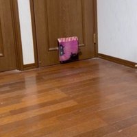 やっぱ通れないか…