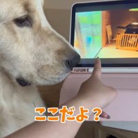 困惑する麹くん5