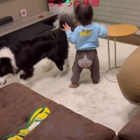 休憩するためケージに戻ると…