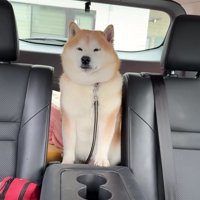 診察を終えたらんまるくん