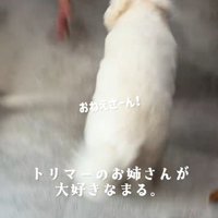 全力ダッシュ！